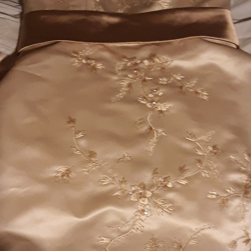 OLEG CASSINI COLLECTION WEDDING DRESS FROM DAVID'S - Picture 10 of 12